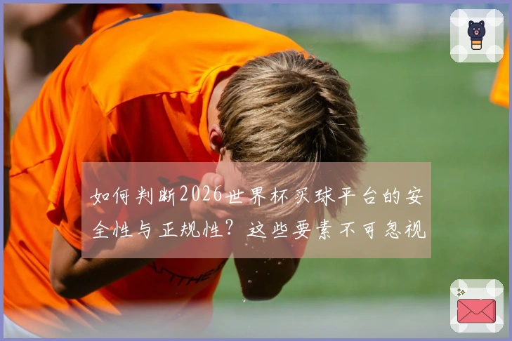 如何判断2026世界杯买球平台的安全性与正规性？这些要素不可忽视
