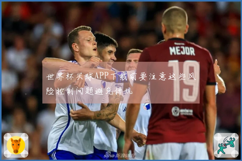 世界杯买球APP下载前要注意这些风险控制问题避免掉坑