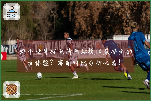 哪个世界杯竞猜网站提供最安全的下注体验？赛前对比分析必看！