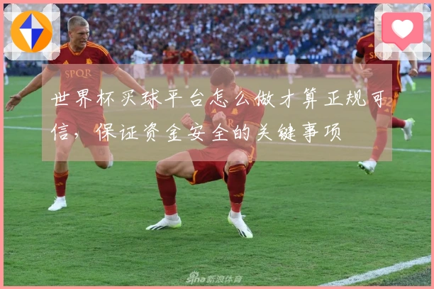 世界杯买球平台怎么做才算正规可信，保证资金安全的关键事项