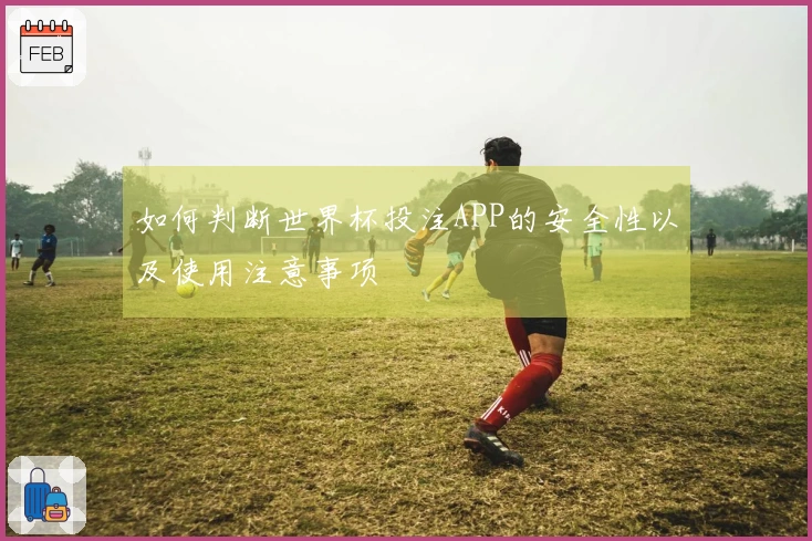 如何判断世界杯投注APP的安全性以及使用注意事项