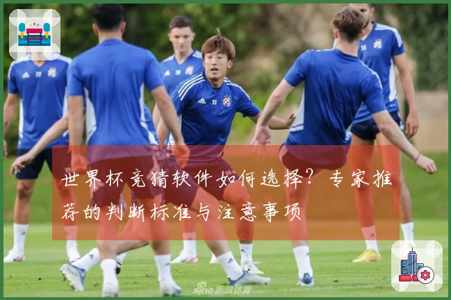 世界杯竞猜软件如何选择？专家推荐的判断标准与注意事项